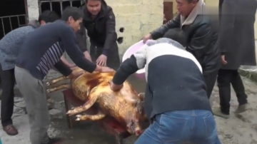 实拍山区农村杀猪摆酒席，村里的姑娘个个能歌善舞，场面特别热闹