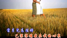 飘逸（流苏女声版）