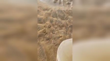 赶海实拍：这种情况还是比较少见的，形成比较苛刻需要大风大潮气候！