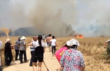 【拍客】实拍河南商丘麦田起火 丰收小麦瞬间变火海