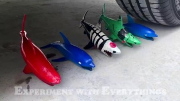 牛人用汽车碾压玩具鲨鱼，真的好减压啊，好过瘾啊