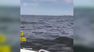 实拍巨大座头鲸紧贴小船跃出水 捕鱼者吓傻了