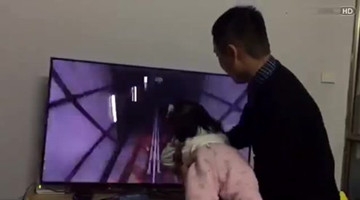 孩子吵着闹着要去游乐园玩过山车，结果我笑了