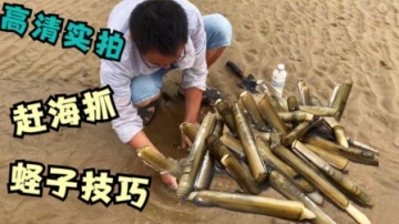 赶海挖蛏子，高清视频实拍赶海抓竹节蛏技巧，人人都能学的技术