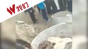 惨剧！3岁女童工地玩耍误触搅拌机开关致2死