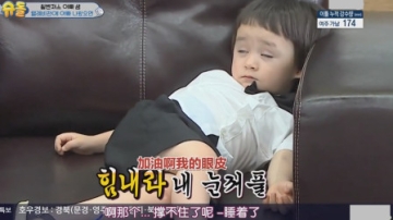 超人回来了：本特利在社长室大睡，社长面对两只可爱萌娃束手无策