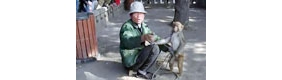 【拍客】猴子拿刀威胁耍猴人 谁耍了谁？