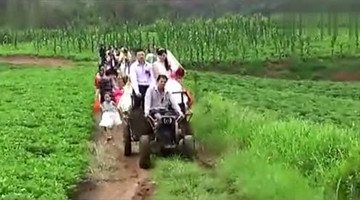 奇闻趣事：史上最牛的婚车