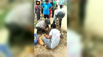 年度尬戏！他们桥上放生鲫鱼 村民桥下狂捞