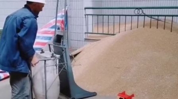 牛人发明：农村大爷发明的装袋神器，大大提高了工作效率，真不知道怎么想出这个好点子的！