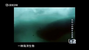 实拍长白山天池现“水怪”