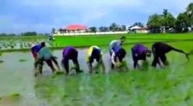 大神在民间，劳动人民的智慧最光荣