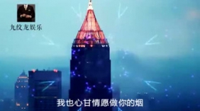 一首歌说尽女人的心酸，太好听了