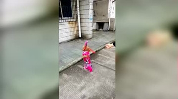 萌宠泰迪化身格格，要不要这么可爱！