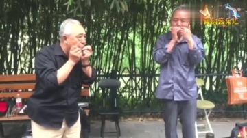 高手在民间！两位大师用口琴演绎技艺超群，效果宛如交响乐团演奏，好佩服，厉害