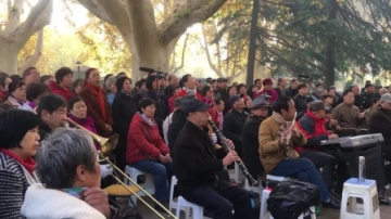 民间好声音，数百老人公园演唱经典红歌，歌声悠扬，不输专业歌手