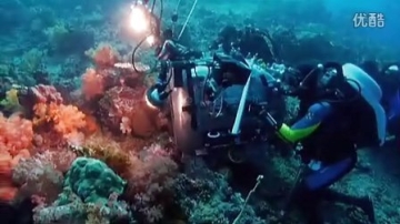《海底世界》预告花絮之Indonesia
