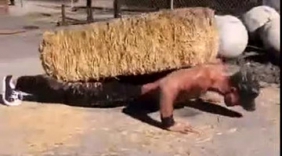 墙都不服就服你！练这么猛是为了保卫地球？