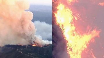 实拍：美国加州突发山火！3小时燃至4000多公顷 居民被迫撤离