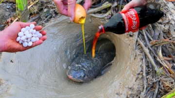 牛人大叔野外捕鱼，洞中竟钻出“花纹蟒蛇”，大叔操作令人惊惧！