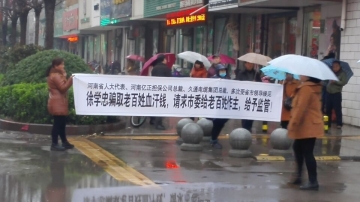 担保公司诈骗，周口维权群众静坐、游行