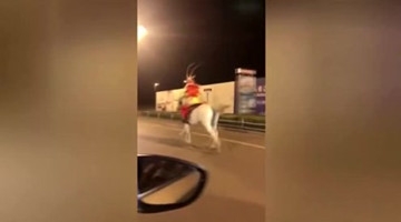 “齐天大圣”深夜策马奔腾 网友：去救师傅