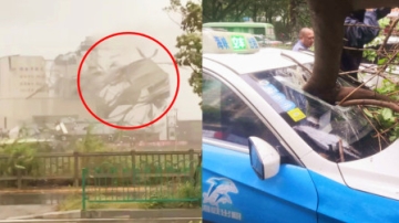 12级大风！实拍：台风“米克拉”登陆 楼顶搭盖被吹落！