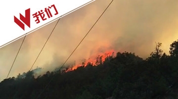 四川雅江森林发生大火 一千多人火线边缘扑救