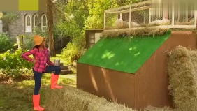 恶搞恶作剧 母鸡下蛋失控了 路人惊慌失措