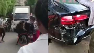 沈阳街头狗把驴咬了 驴受惊撞坏百万奥迪 修车费得10万