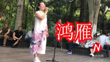 这才叫民间好声音，女版《鸿雁》唱的如此动听，好听极了