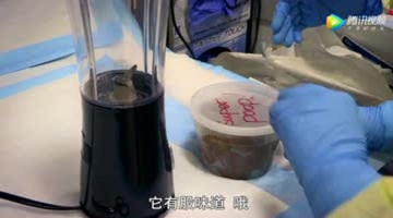 这个居然能治病？重口味疗法你敢尝试吗？
