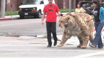 盘点：国外街头最著名的恶作剧，路人纷纷中招，恶搞者笑弯了腰