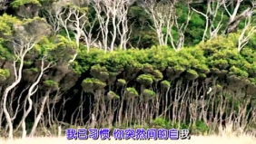 《突然的自我》女声版 韵味十足！