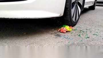 牛人驾驶小汽车碾压青蛙玩具！看着好过瘾！真的好减压！