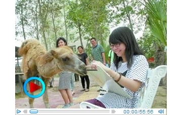 【拍客直击】实拍大学校园自建动物园供写生