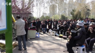 民间好声音，数百老人公园演唱《军人本色》，比原唱更有味道