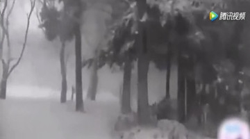 下雪天小伙跑去公园玩雪 突然拍到惊悚画面