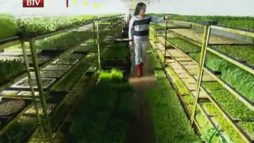 北京高级白领失意迷茫时，发现新商机，年薪百万请不回