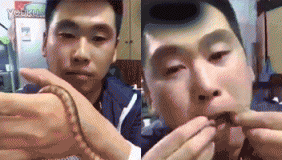 实拍作死骚男生吞活蛇 作死的249们前赴后继