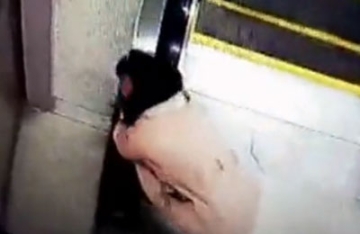 【拍客】男童险被卷入电梯 生死瞬间被女子拽住救出