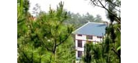 【拍客】国家级森林城市:四川广元天曌山低碳村庄