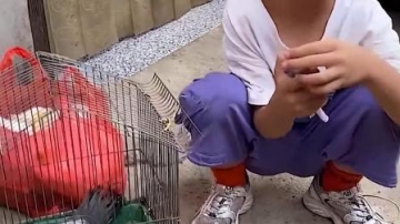 童年趣事：萌娃这是怎么了 哭起来咯
