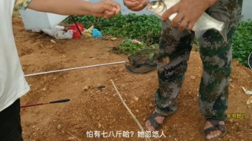 高手在民间，农村妇女河边野钓，鱼获让大师都汗颜