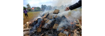 【拍客】印尼：警方焚毁大麻处理不当 居民“被吸毒”