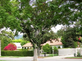 国外旅游: 美国洛杉矶名人区