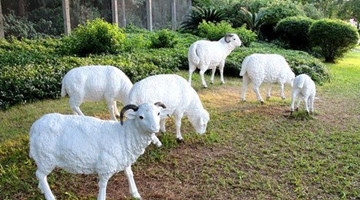 美国一羊胎生下半人类怪物