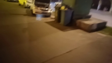 实拍十月下旬的开封公园路景色（1）。