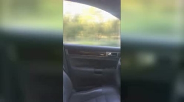 爆笑大东北，恶搞社会王