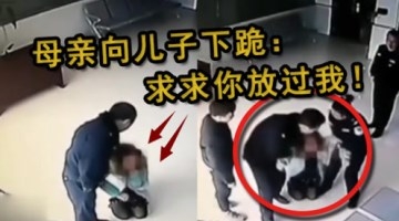 女教师下跪求儿断绝关系